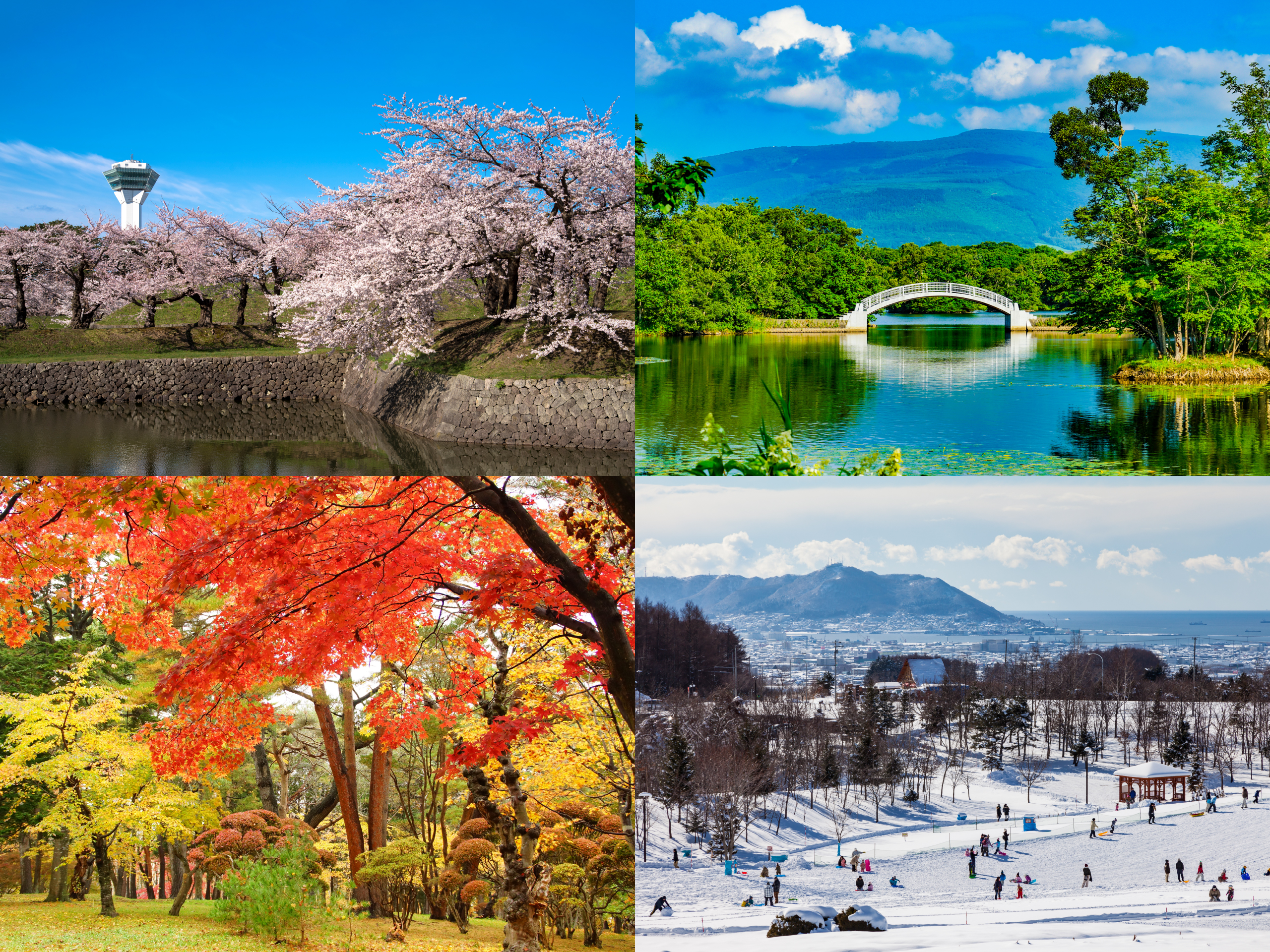 写真左上：春の五稜郭公園から望む五稜郭タワー／右上：夏の大沼国定公園／左下：秋の香雪園／右下：冬の道南四季の杜公園