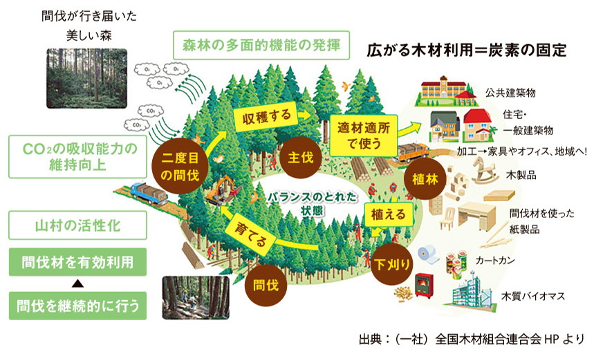 森林の多面的利用の発揮イメージ